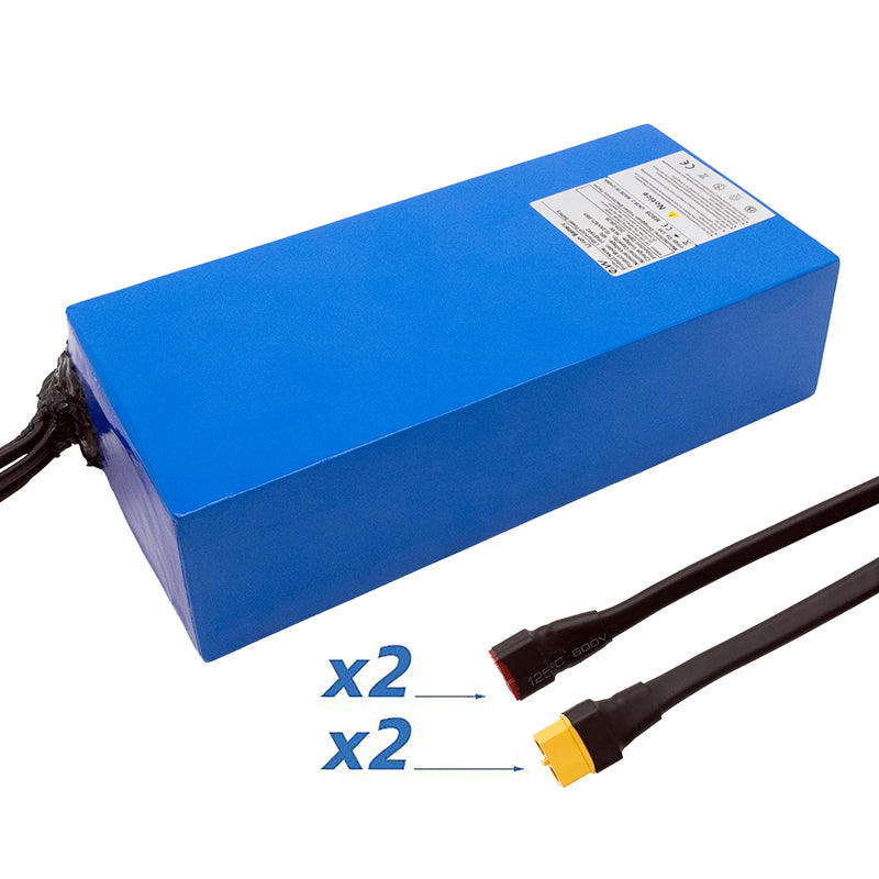 Batteria 48V 19.2 A / h per smartgyro Speedway [Ewheel]
