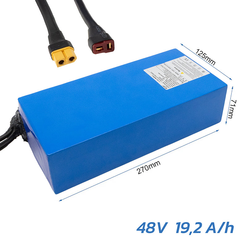Batteria 48V 19.2 A / h per smartgyro Speedway [Ewheel]