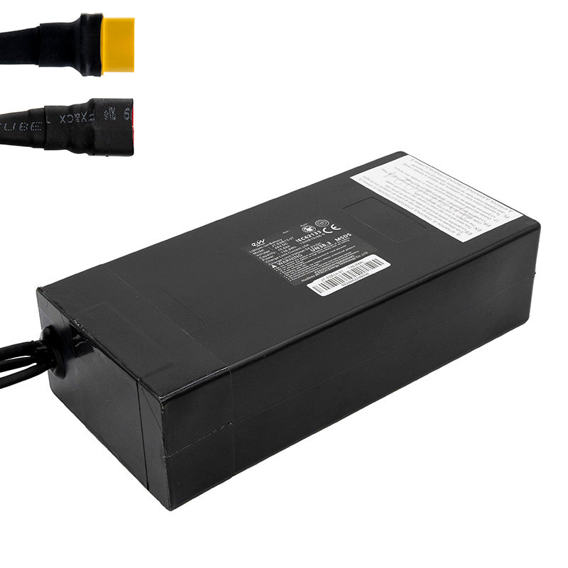 Batteria 48V 15.6 A / h per smartgyro Speedway [Ewheel]