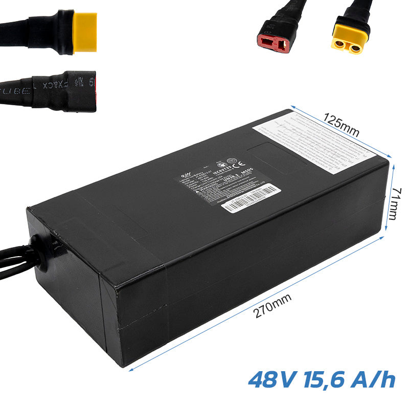 Batteria 48V 15.6 A / h per smartgyro Speedway [Ewheel]